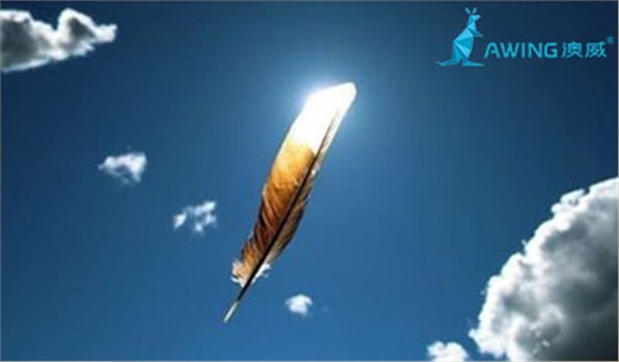 鋁合金門(mén)窗加盟商不斷學(xué)習(xí)才能笑對(duì)行業(yè)的風(fēng)雨變幻